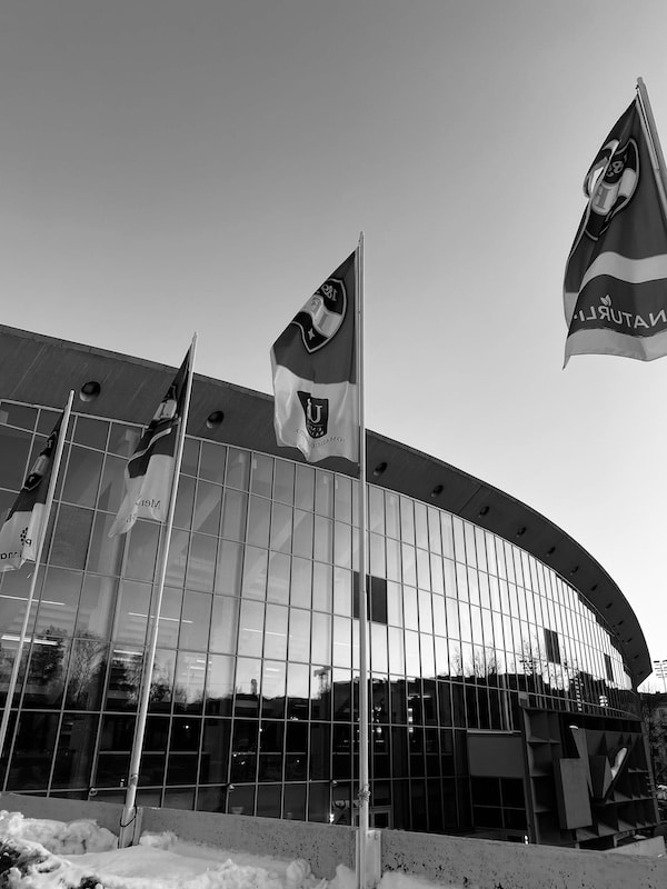 Kiekkobuumi Helsingissä – Jokerit ja HIFK vetävät kovia yleisömääriä Kiekkobuumi Helsingissä – Jokerit ja HIFK vetävät kovia yleisömääriä